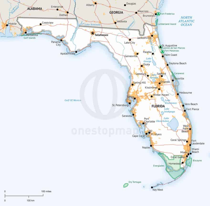 Vector Map of Florida political | One Stop Map